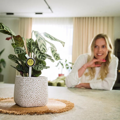 Plantiemoji Plant Magic Wand – Smart 4-in-1 AI Plant Care Sensor with Emoji Display
