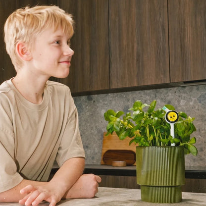 Plantiemoji Plant Magic Wand – Smart 4-in-1 AI Plant Care Sensor with Emoji Display
