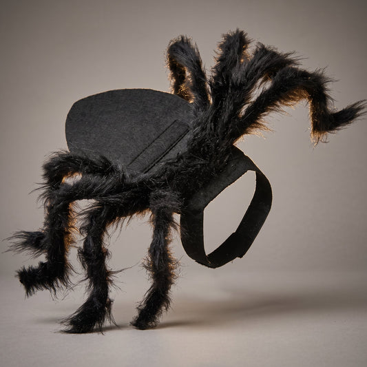 Cat Spider Costume – Funny Halloween Pet Costume for Cats