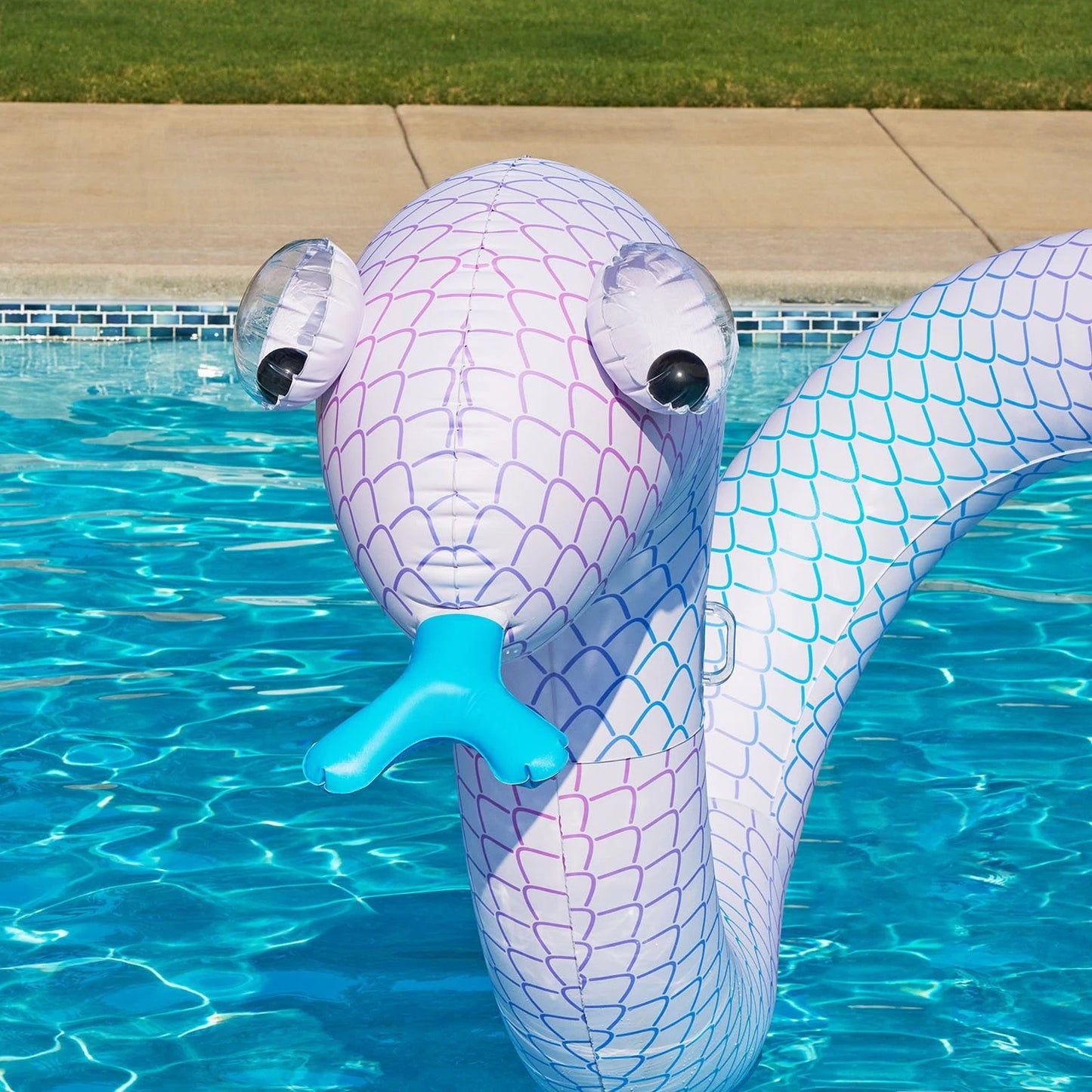Giant Inflatable Animal Float – Caterpillar / Snake | Oversized Pool Float